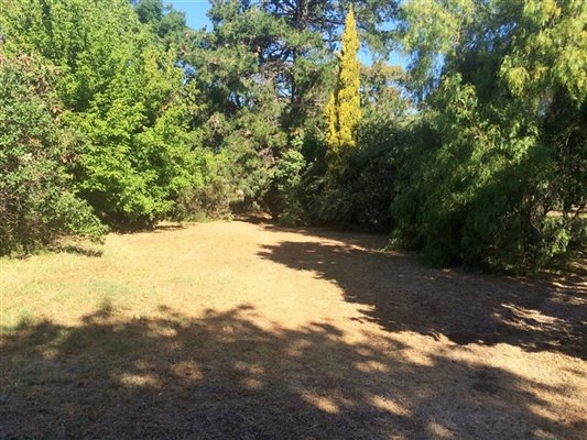 77 Mackenzie Street West  GOLDEN SQUARE 6