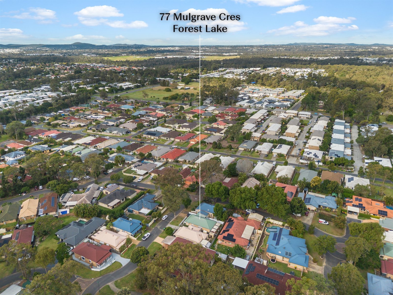 77 Mulgrave Crescent FOREST LAKE 16