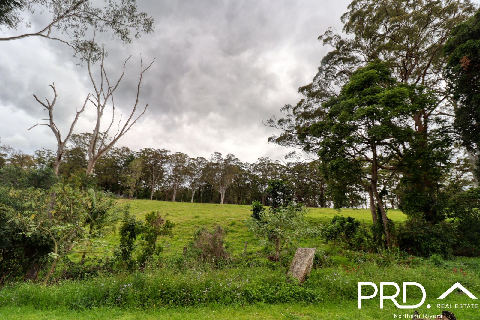 77 Phillip Street GOONELLABAH 18