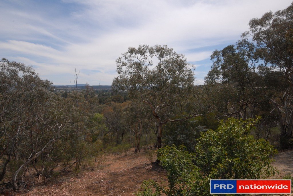 77 Severne Street GREENLEIGH 16