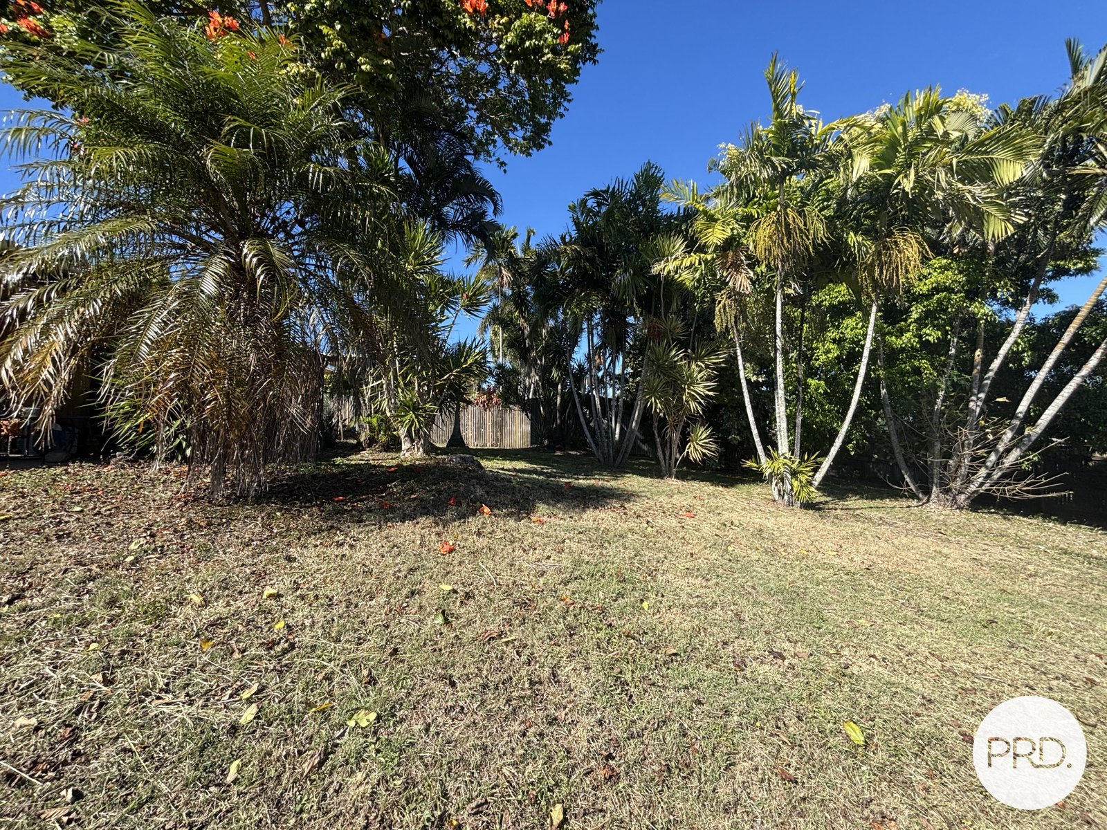 77 Slater Avenue BLACKS BEACH 15