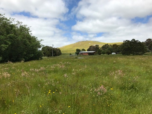 77 Wilcar Drive WAUBRA 1