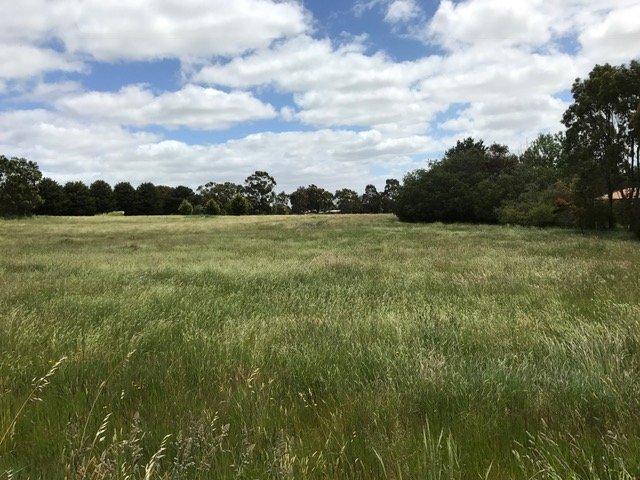 77 Wilcar Drive WAUBRA 5