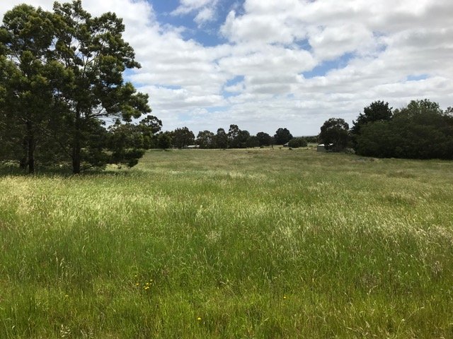 77 Wilcar Drive WAUBRA 6