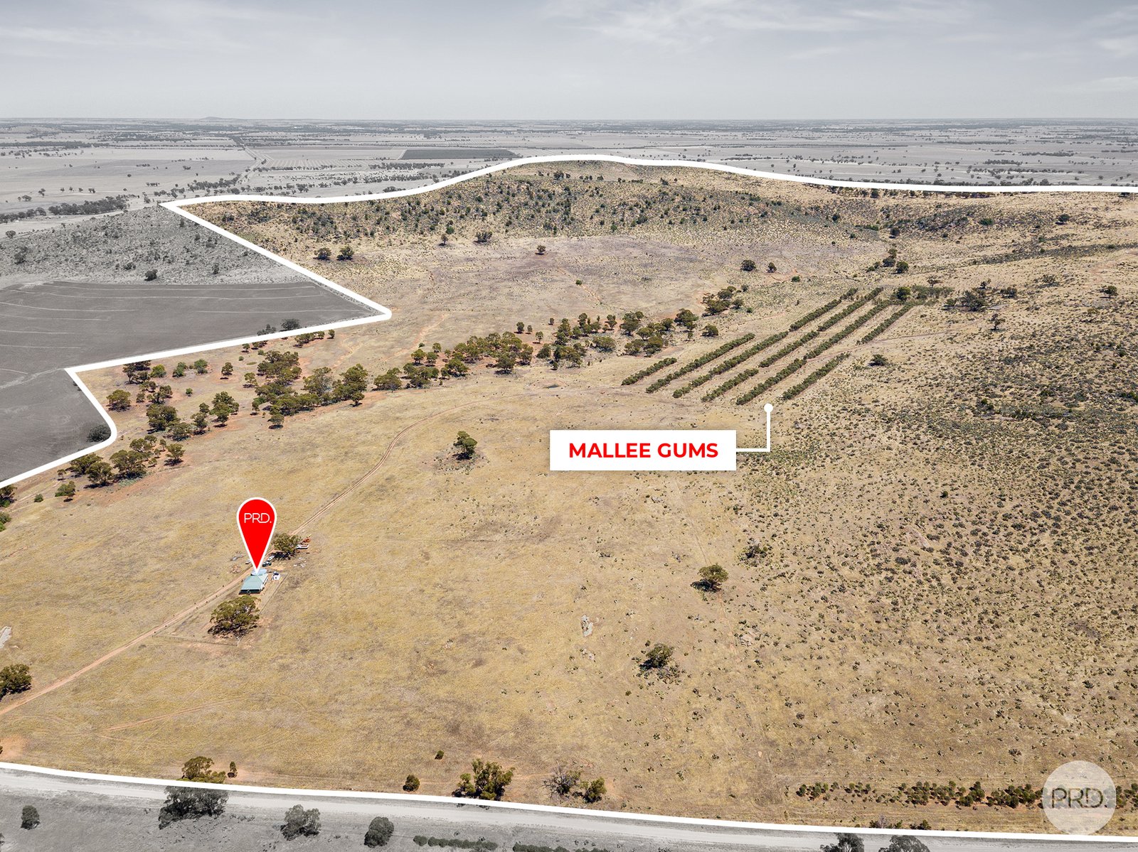 77 Wilsons Road BUCKRABANYULE 1