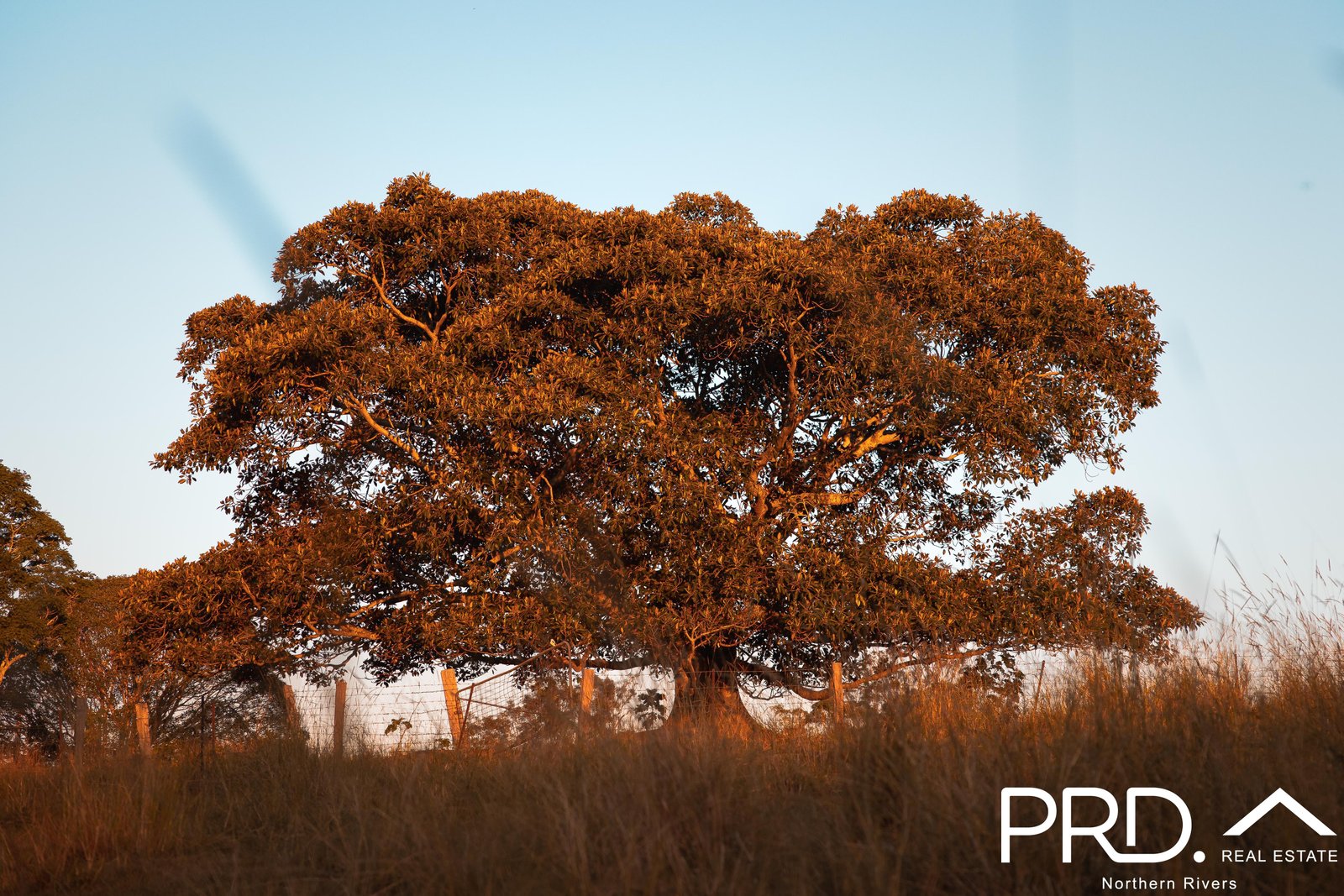 77 Windarra Place KYOGLE 14