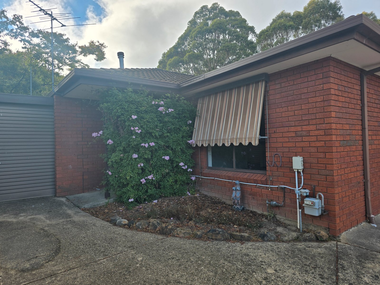 7/724 Chisholm Street BLACK HILL 1