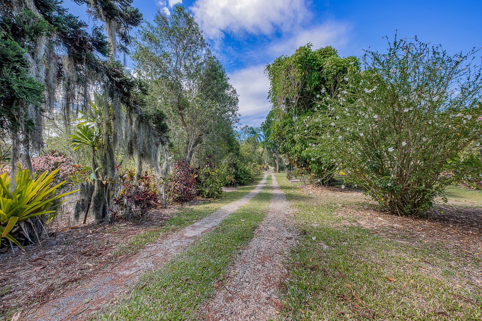 773 Gregory Cannon Valley Road STRATHDICKIE 19