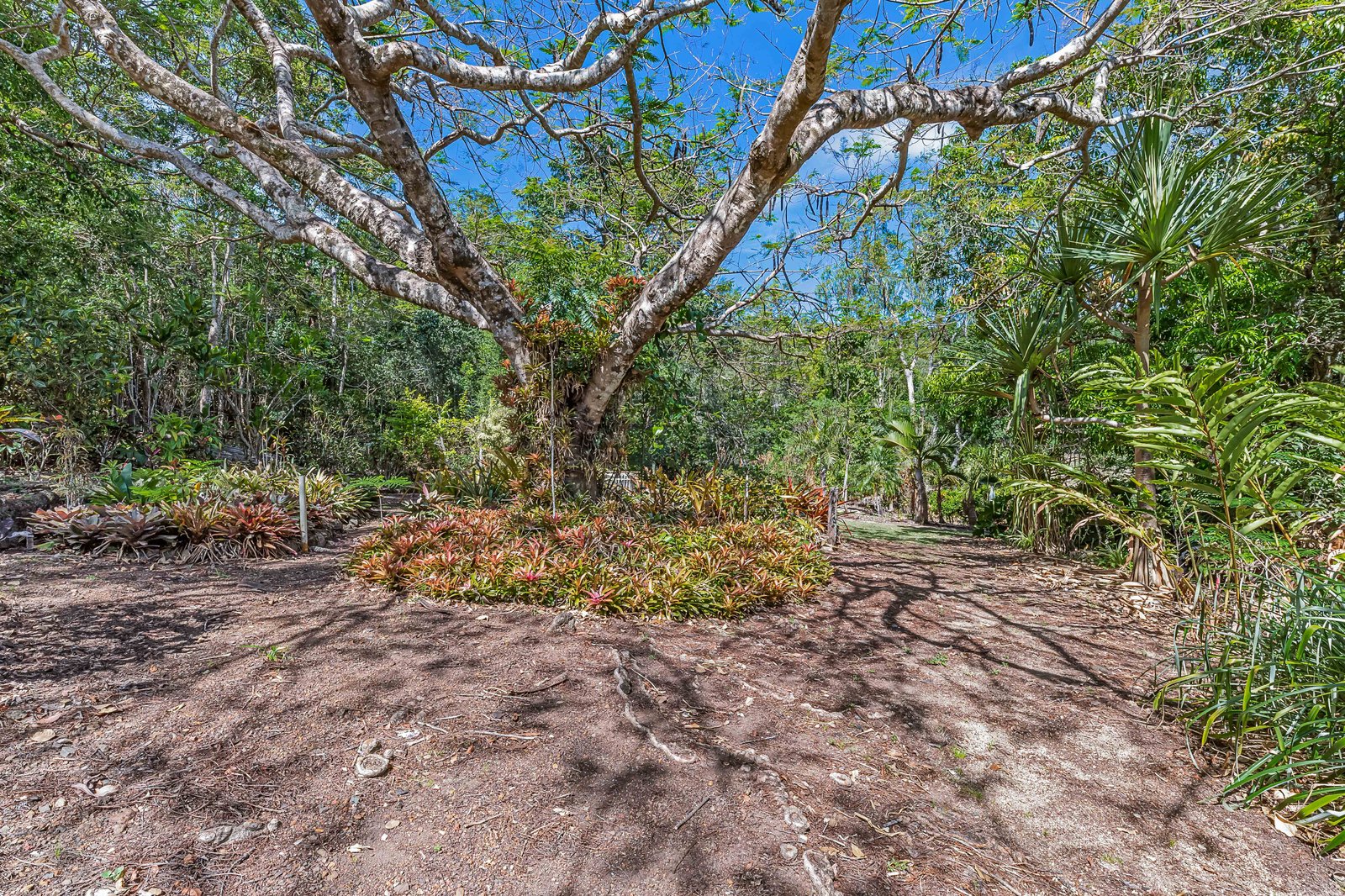 773 Gregory Cannon Valley Road STRATHDICKIE 22