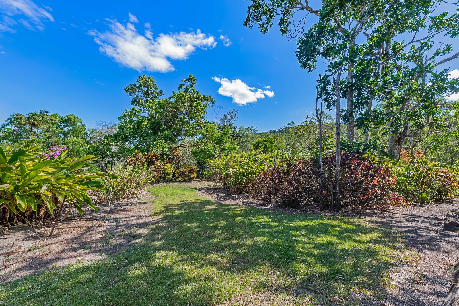 773 Gregory Cannon Valley Road STRATHDICKIE 23