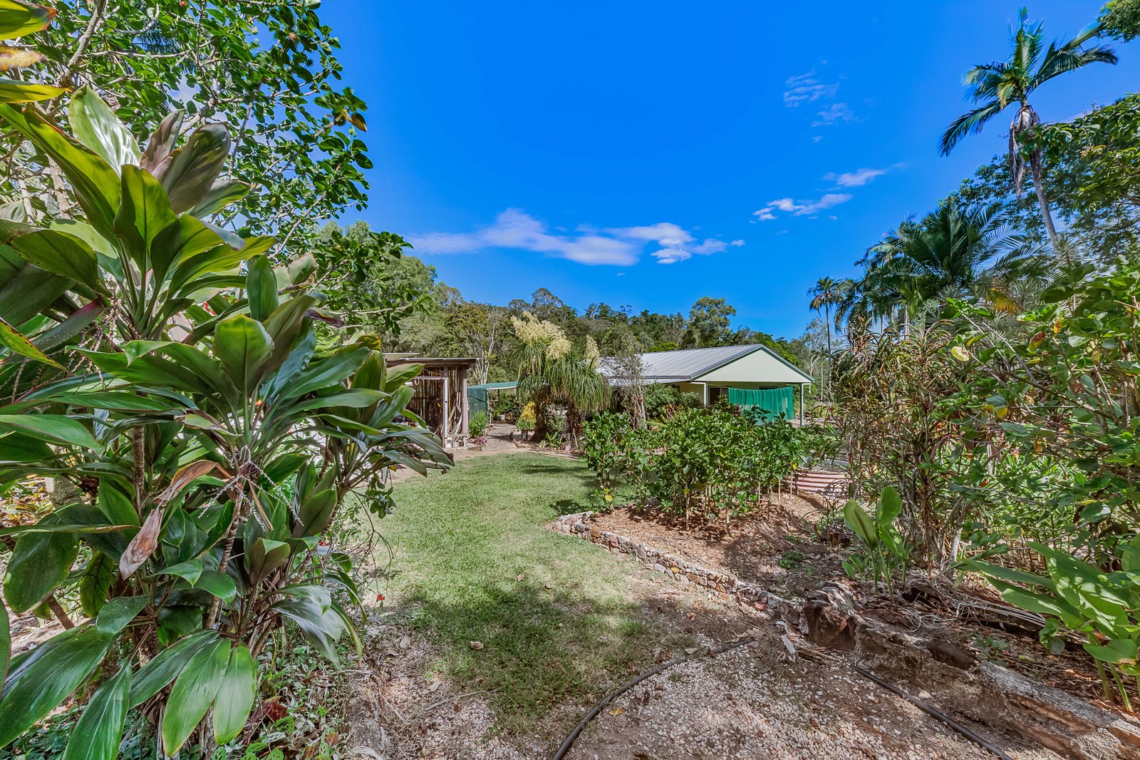 773 Gregory Cannon Valley Road STRATHDICKIE 29