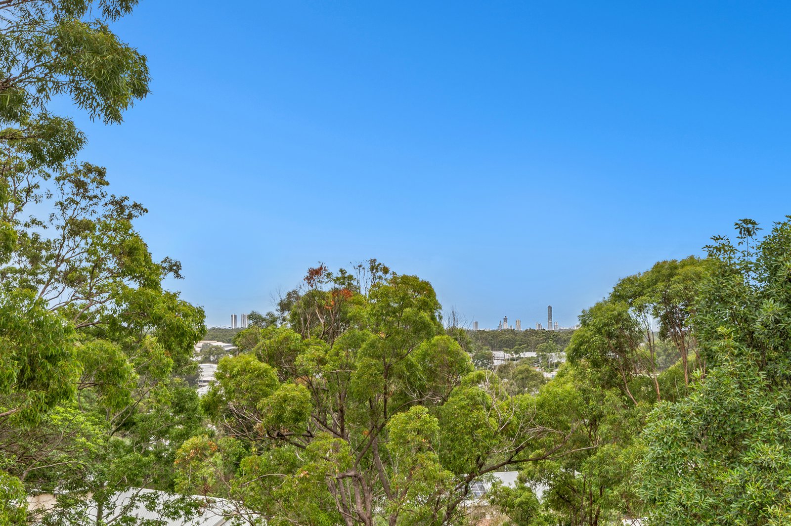 775 Ashmore Road MOLENDINAR 6