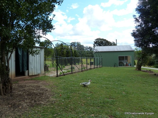 776 Green Pigeon Road KYOGLE 19