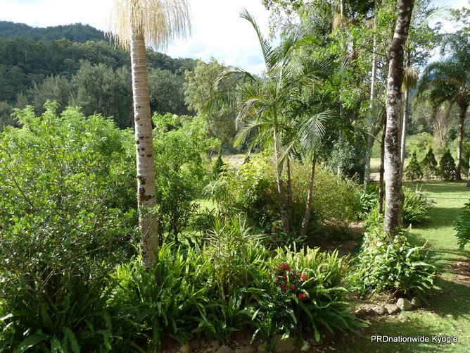 776 Green Pigeon Road KYOGLE 20