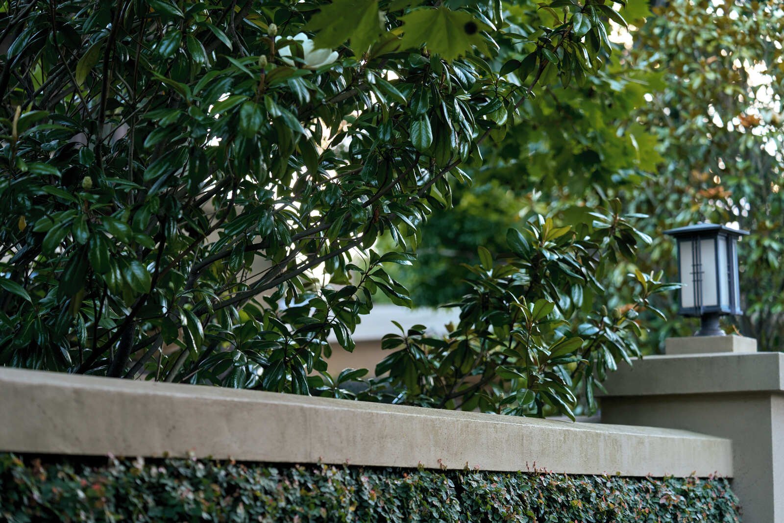 7/78 Walpole Street, Kew, 3101