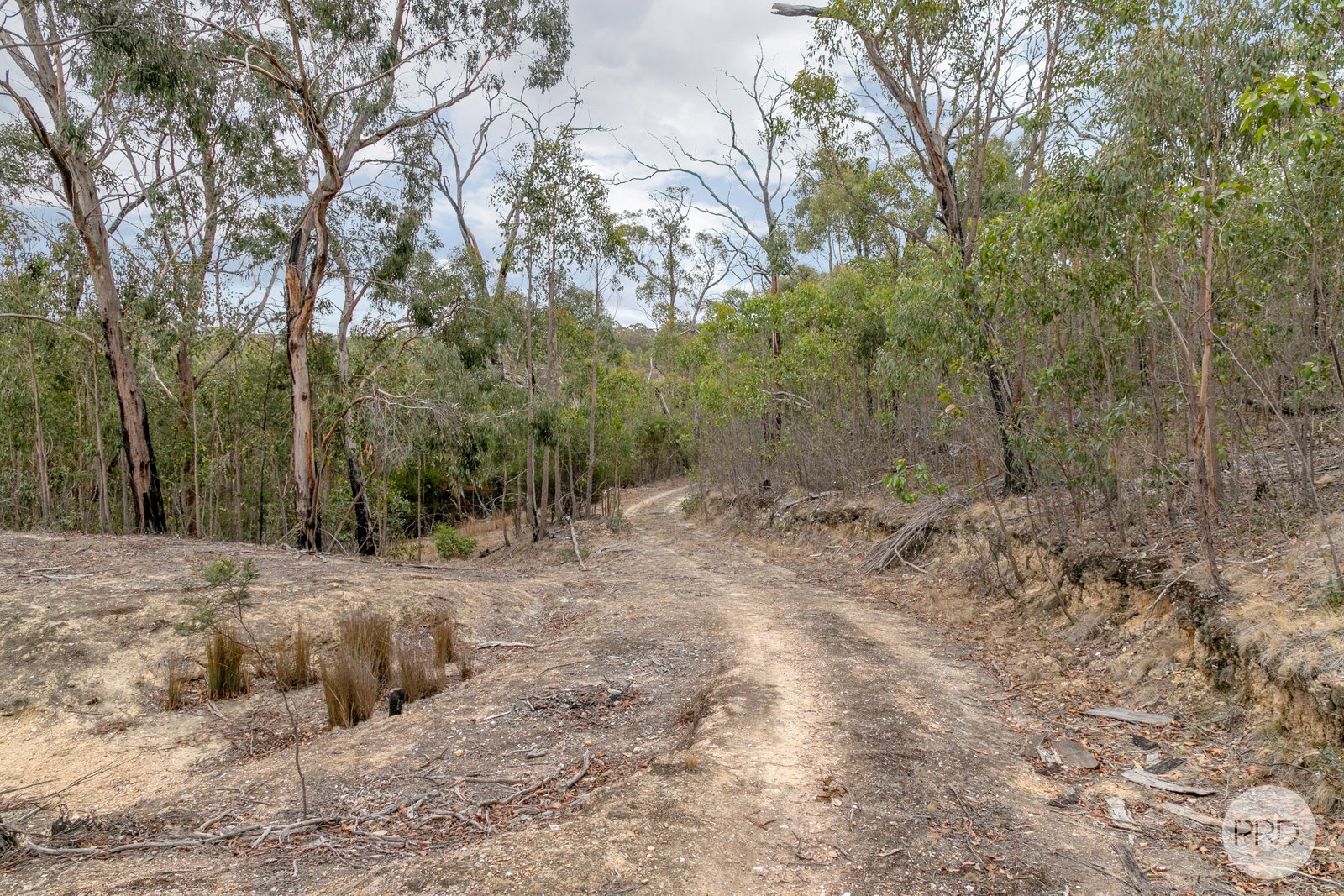 779 Paynes Bridge Road DEREEL 18