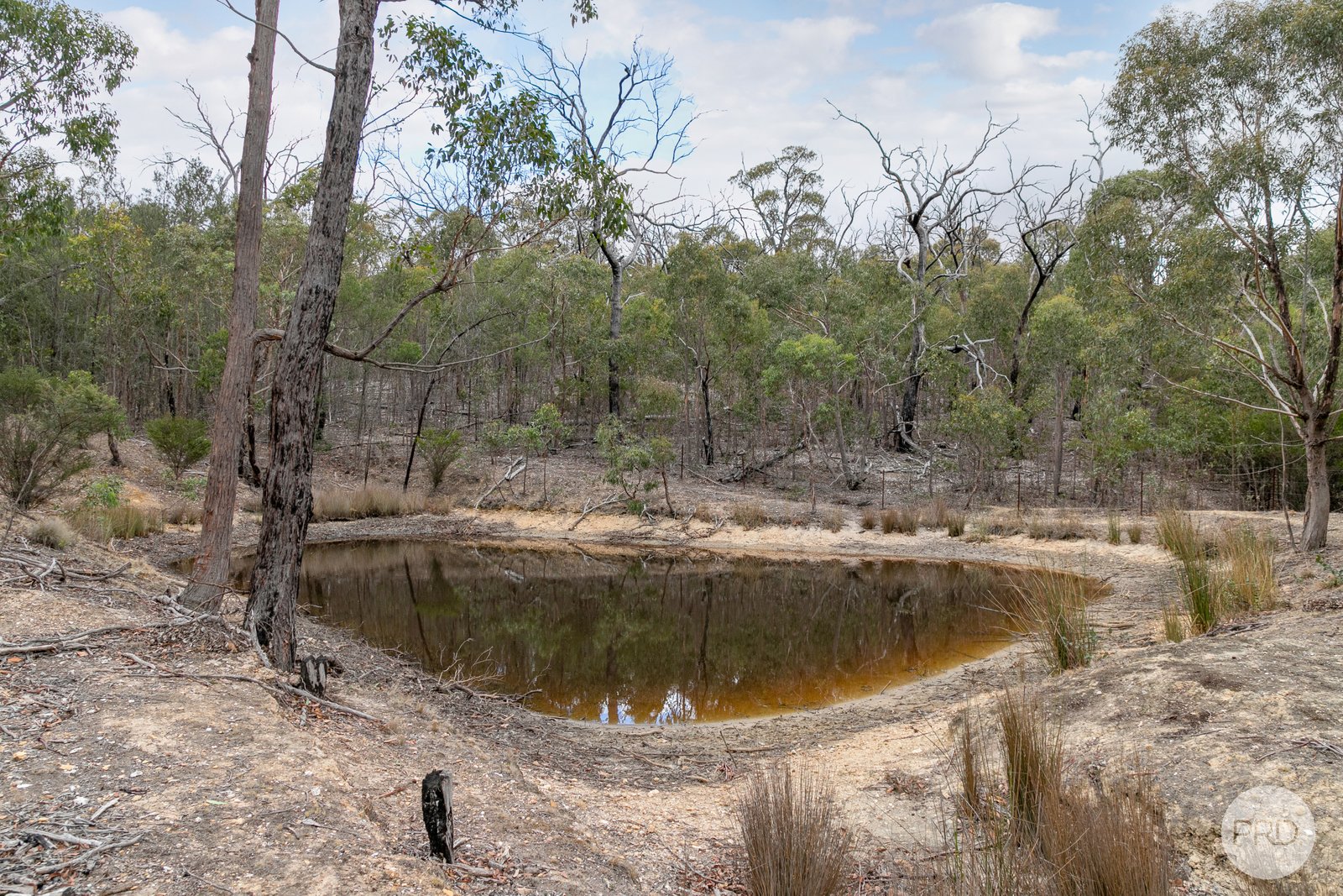 779 Paynes Bridge Road DEREEL 19