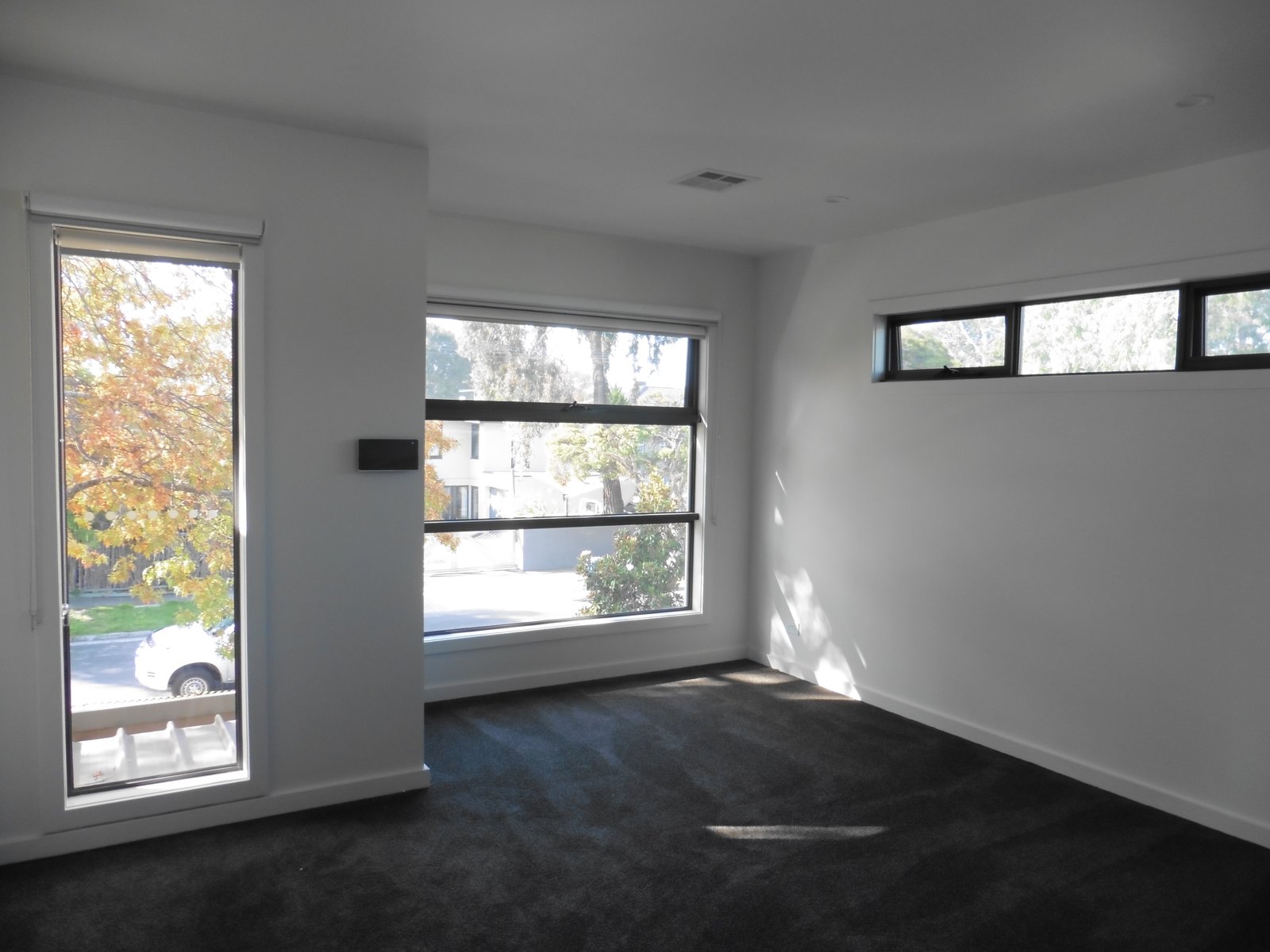 Gallery: 77a Haldane Street