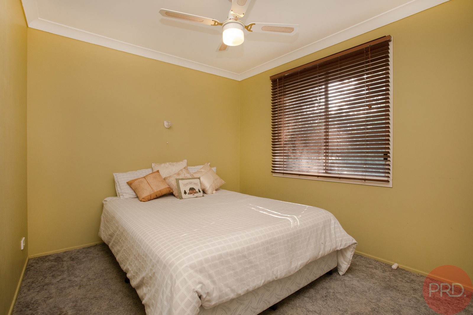 78 Avery Street RUTHERFORD 16