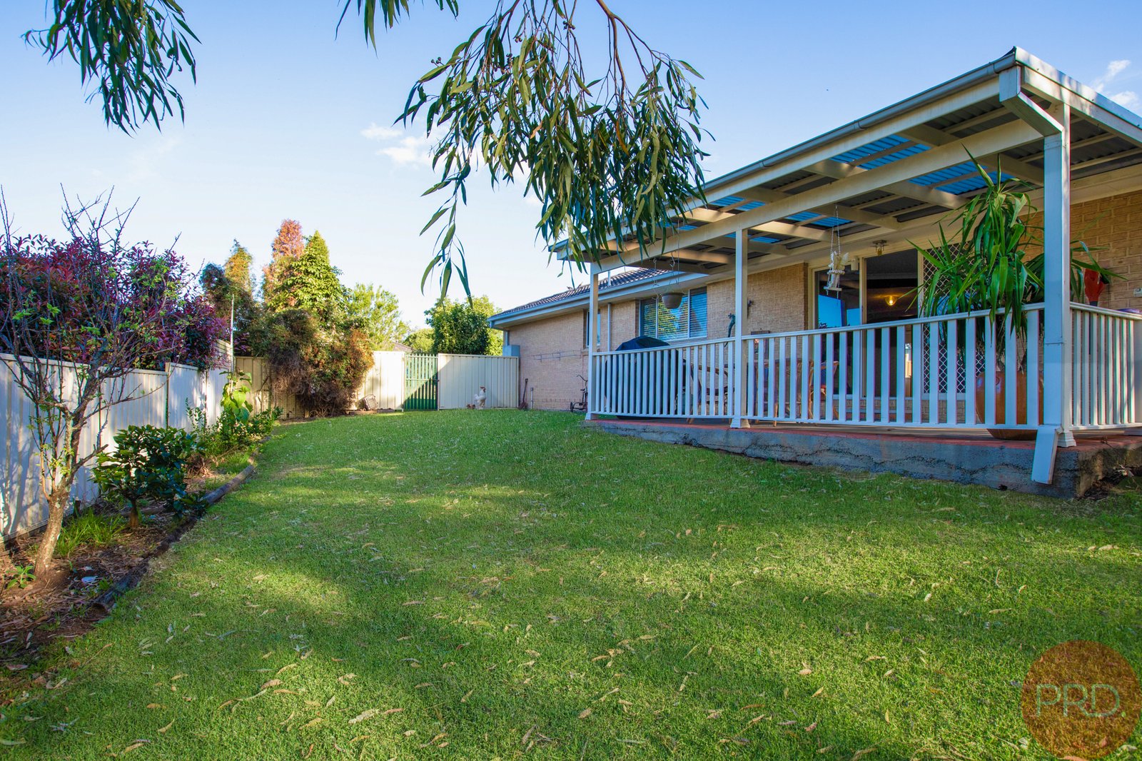 78 Avery Street RUTHERFORD 24