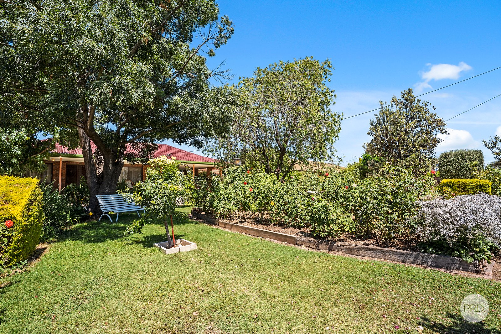 78 Ironstone Road EPSOM 15