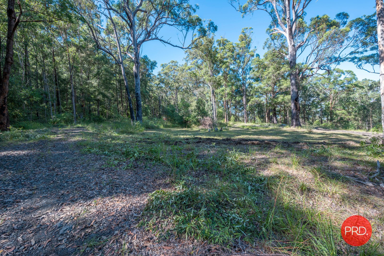 78 Kookaburra Drive GLENREAGH 4