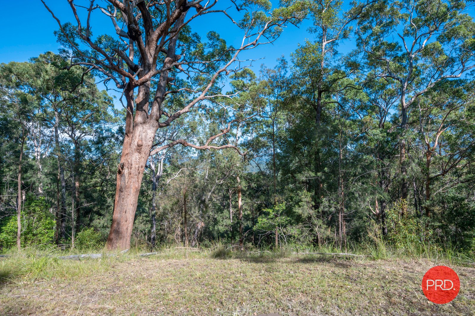 78 Kookaburra Drive GLENREAGH 7