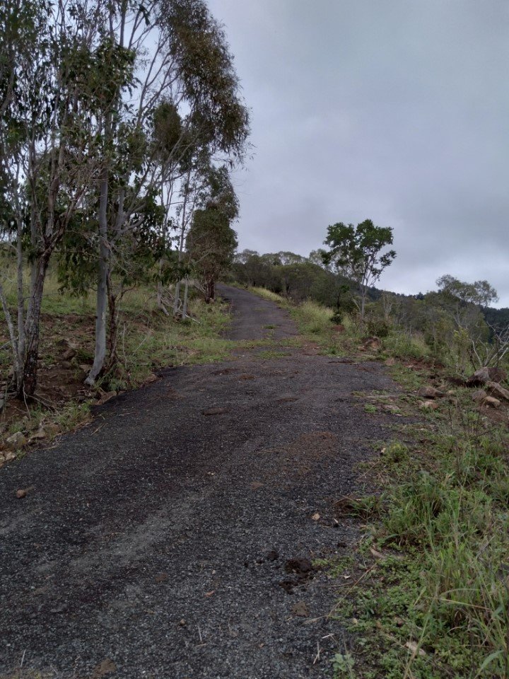78 MCCLURE Road BOROREN 8