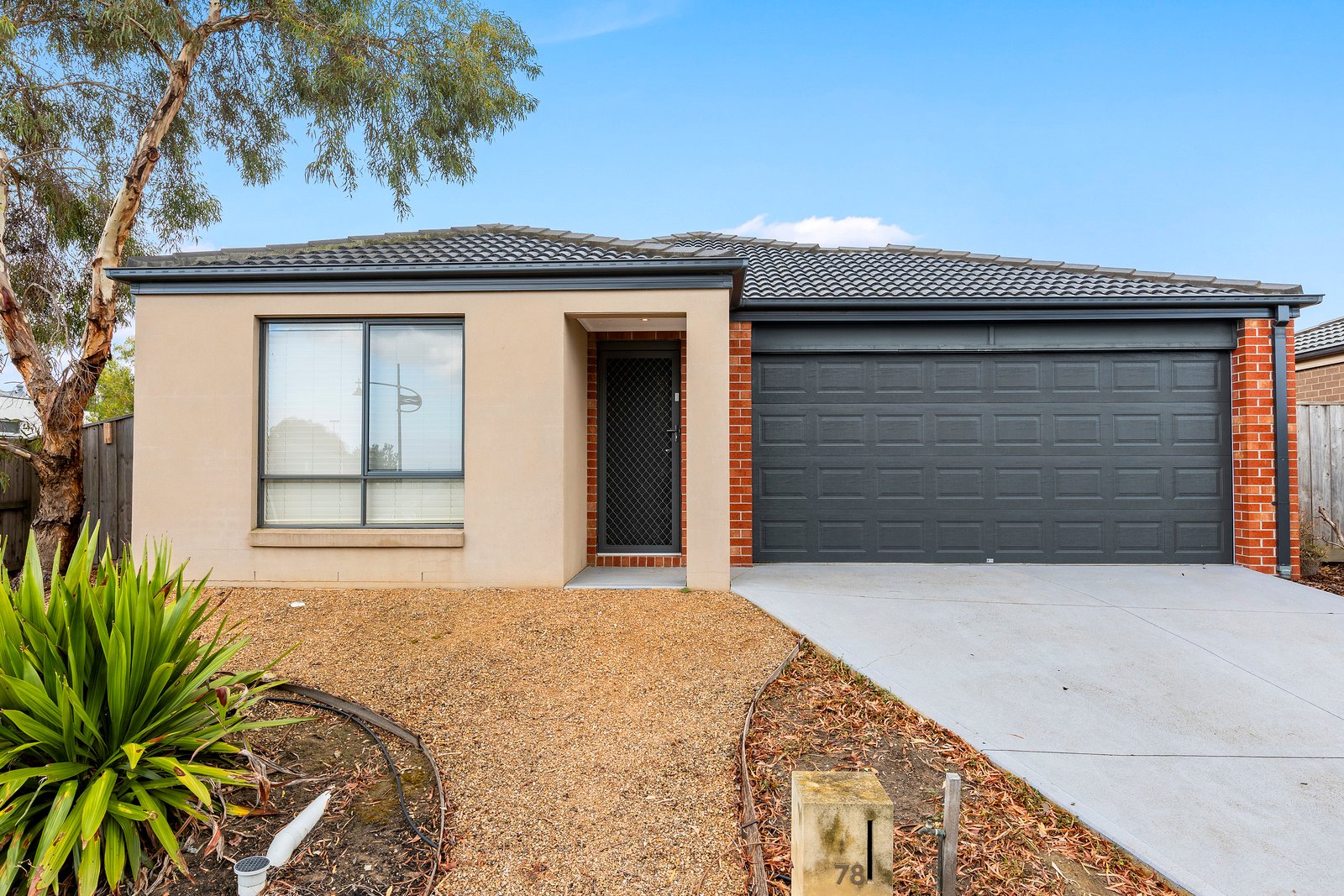Real Estate and Property in 78 Treefern Street, Leopold, VIC