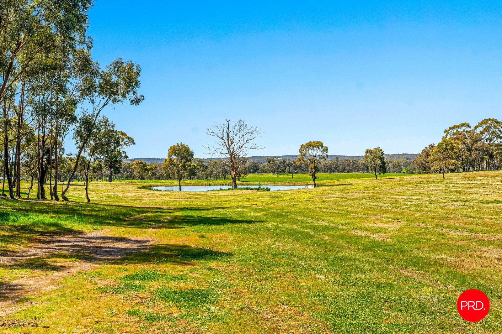 783 Emu Creek Road EMU CREEK 2