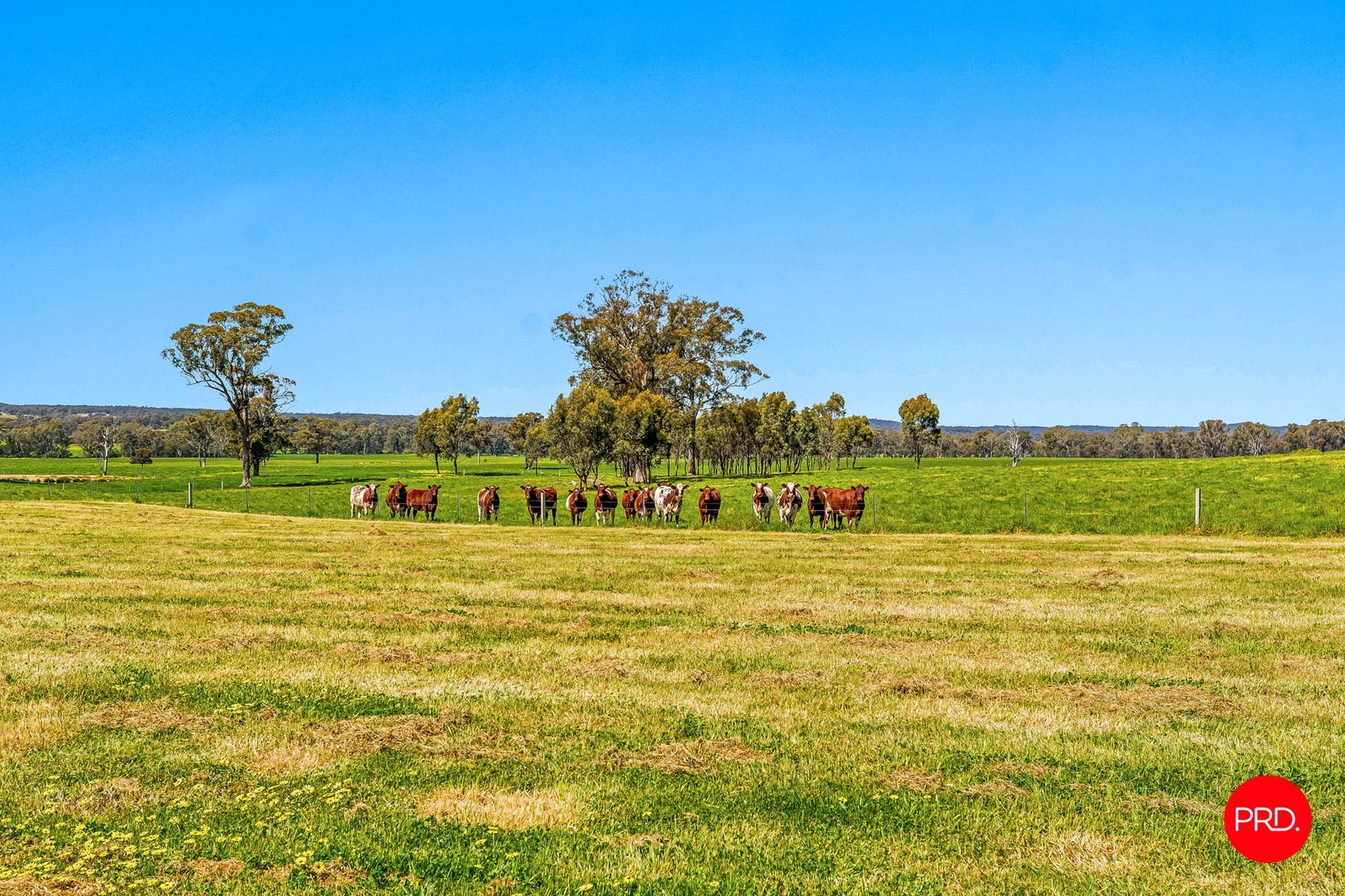 783 Emu Creek Road EMU CREEK 3
