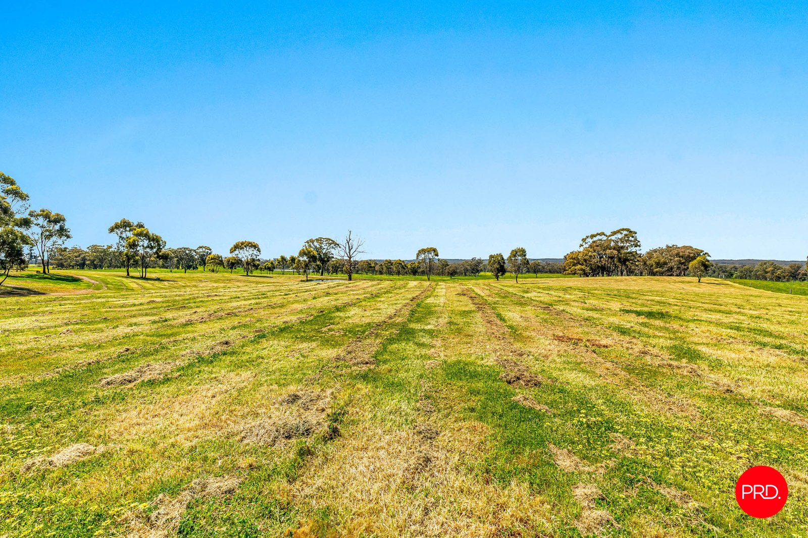 783 Emu Creek Road EMU CREEK 4