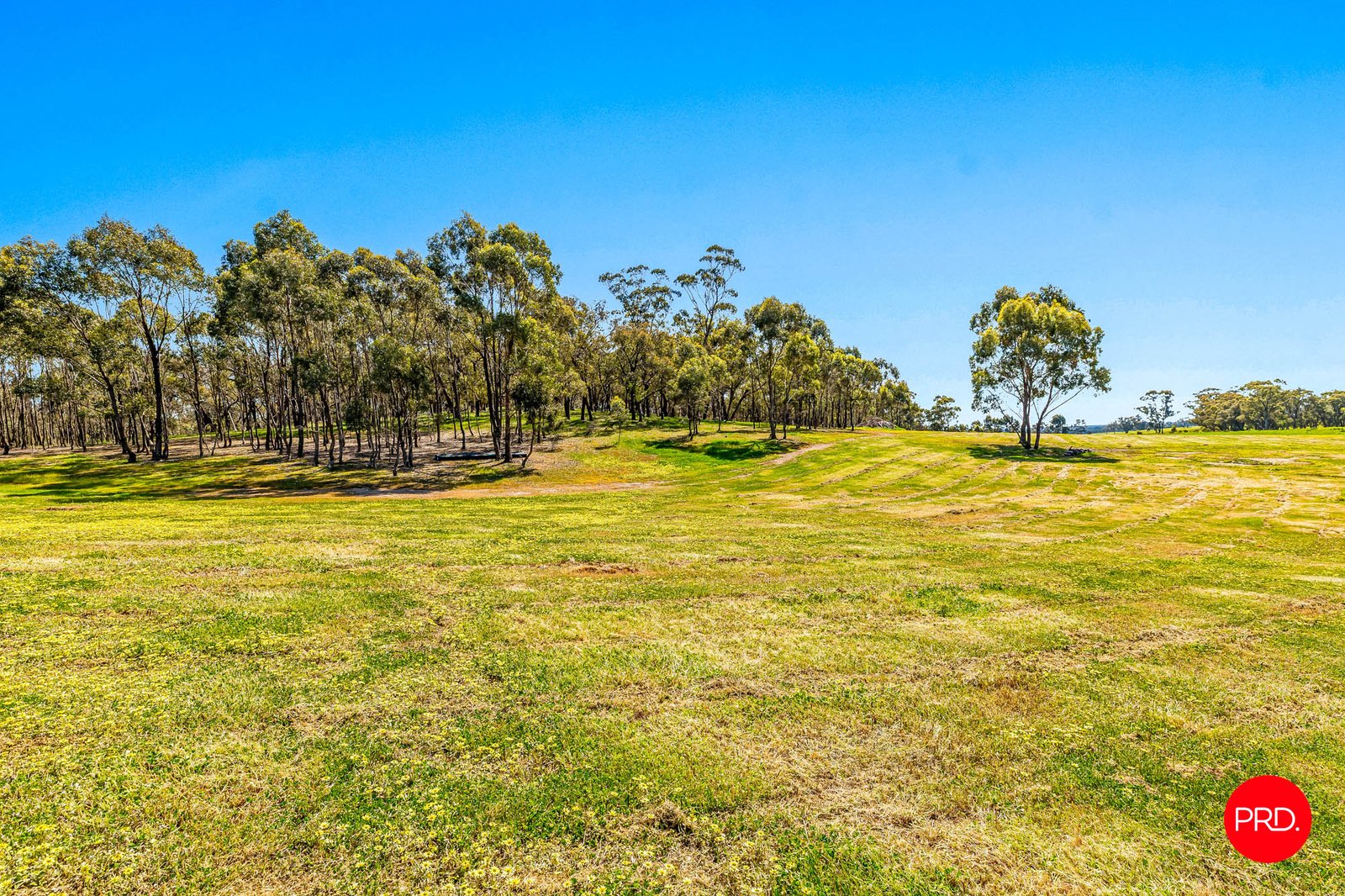 783 Emu Creek Road EMU CREEK 9