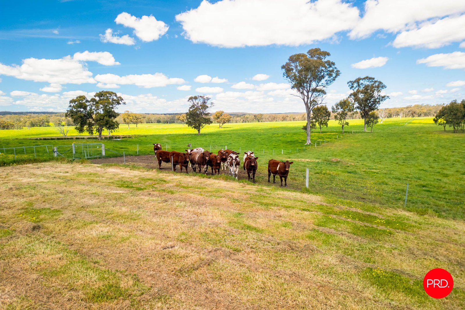783 Emu Creek Road EMU CREEK 10
