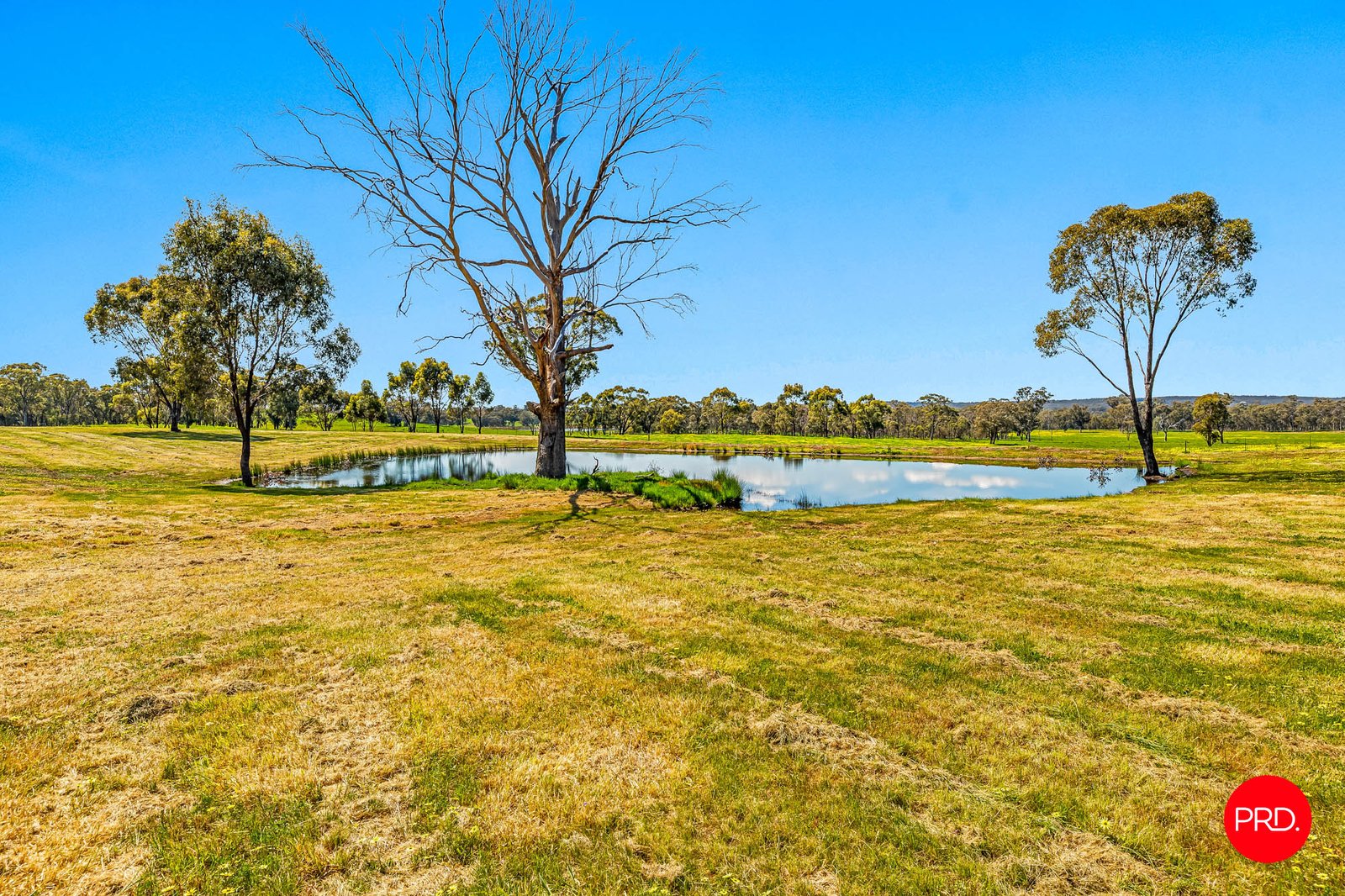 783 Emu Creek Road EMU CREEK 14