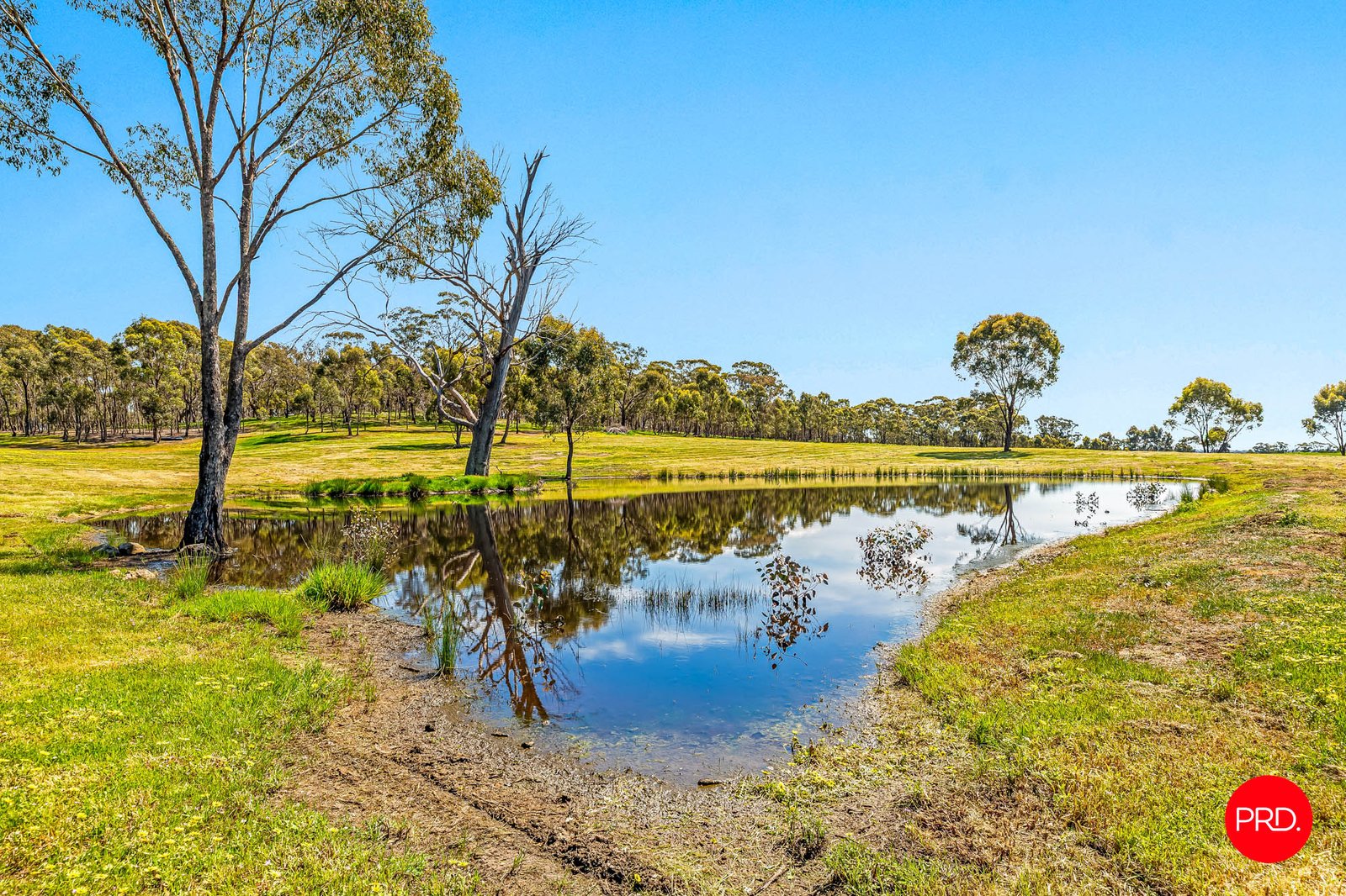 783 Emu Creek Road EMU CREEK 15