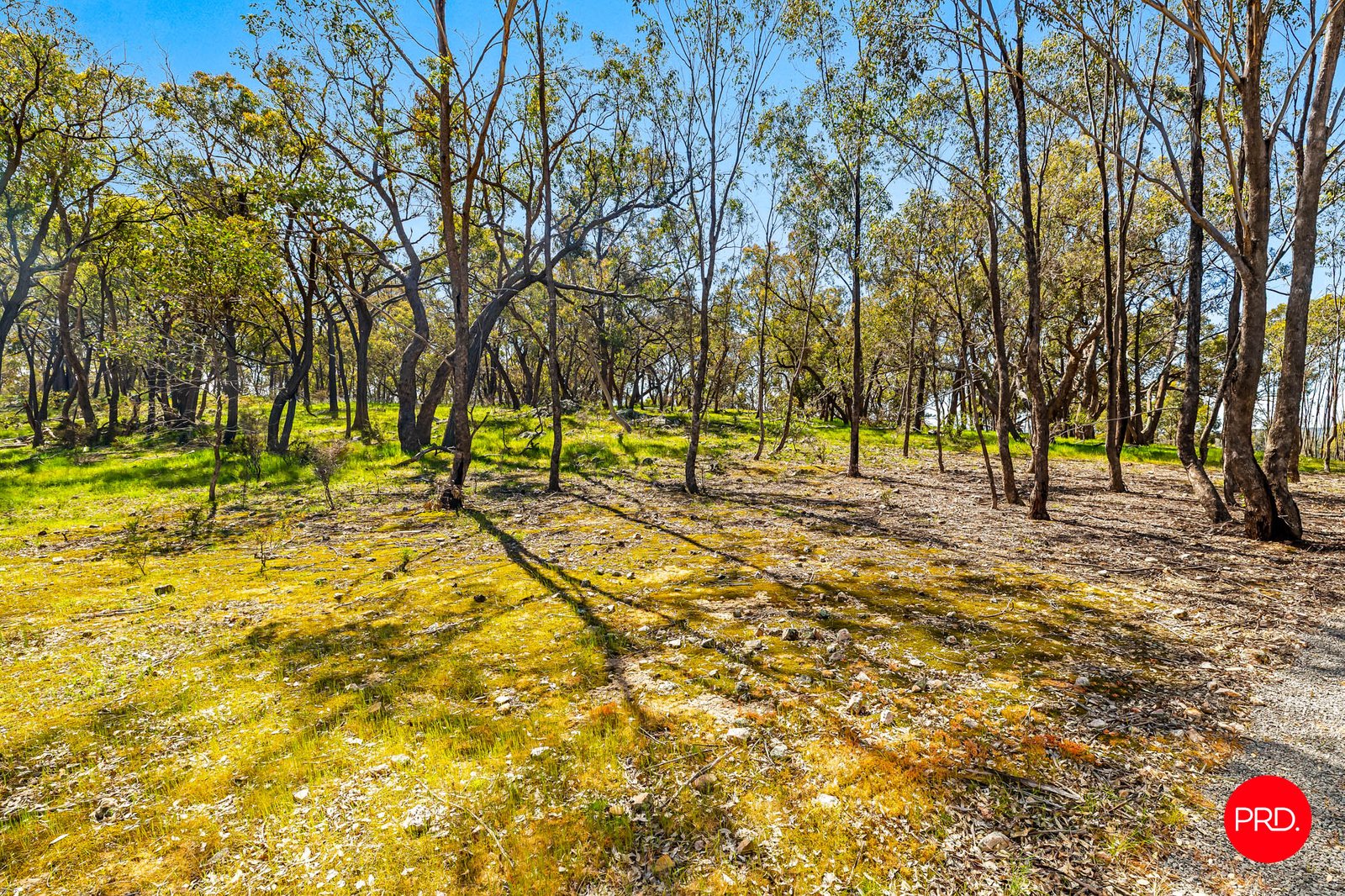 783 Emu Creek Road EMU CREEK 16