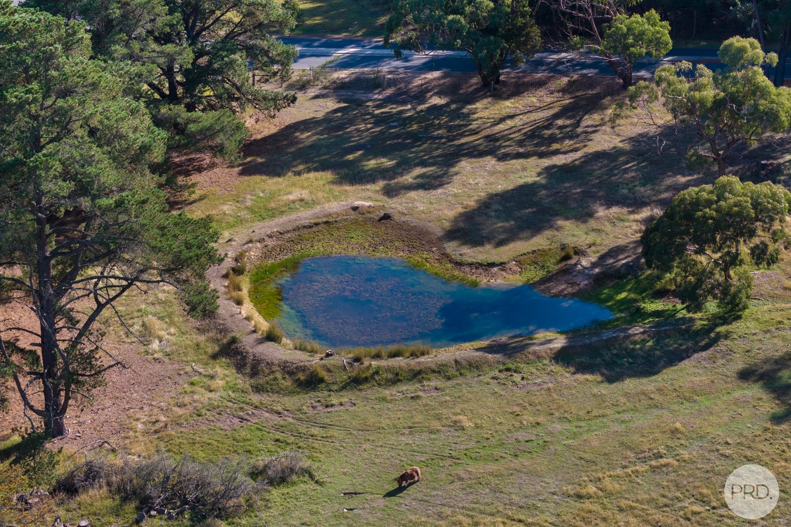 785 Bells Road HADDON 17