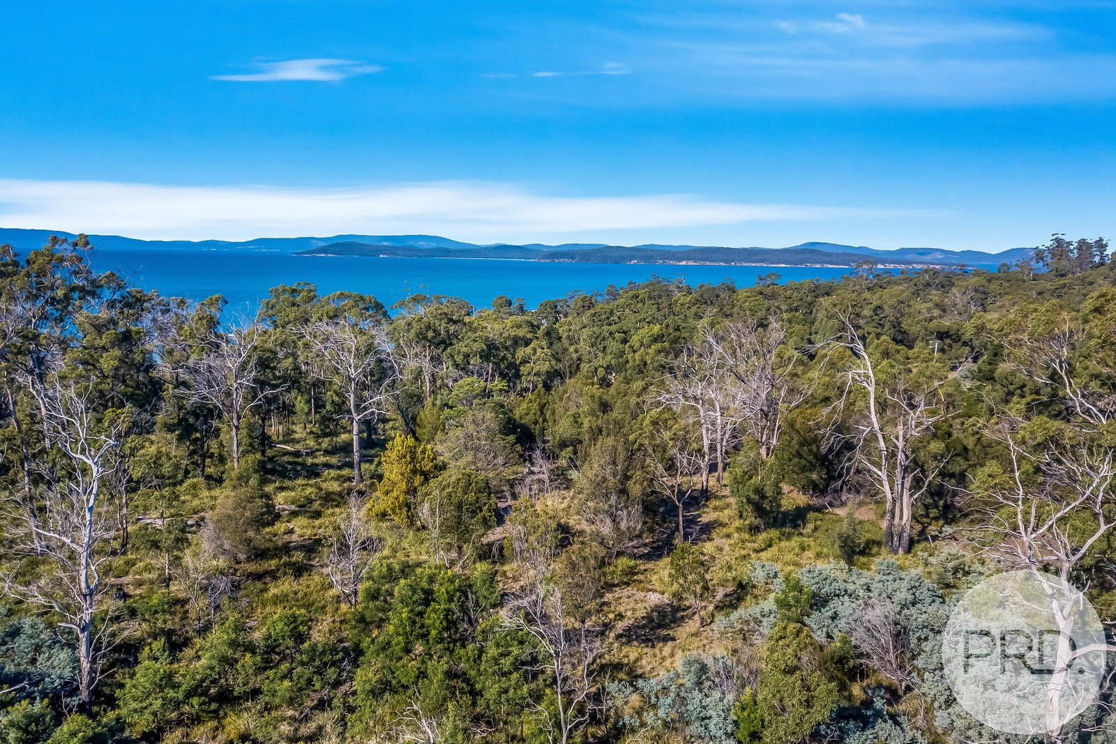 786 Primrose Sands Road PRIMROSE SANDS 9