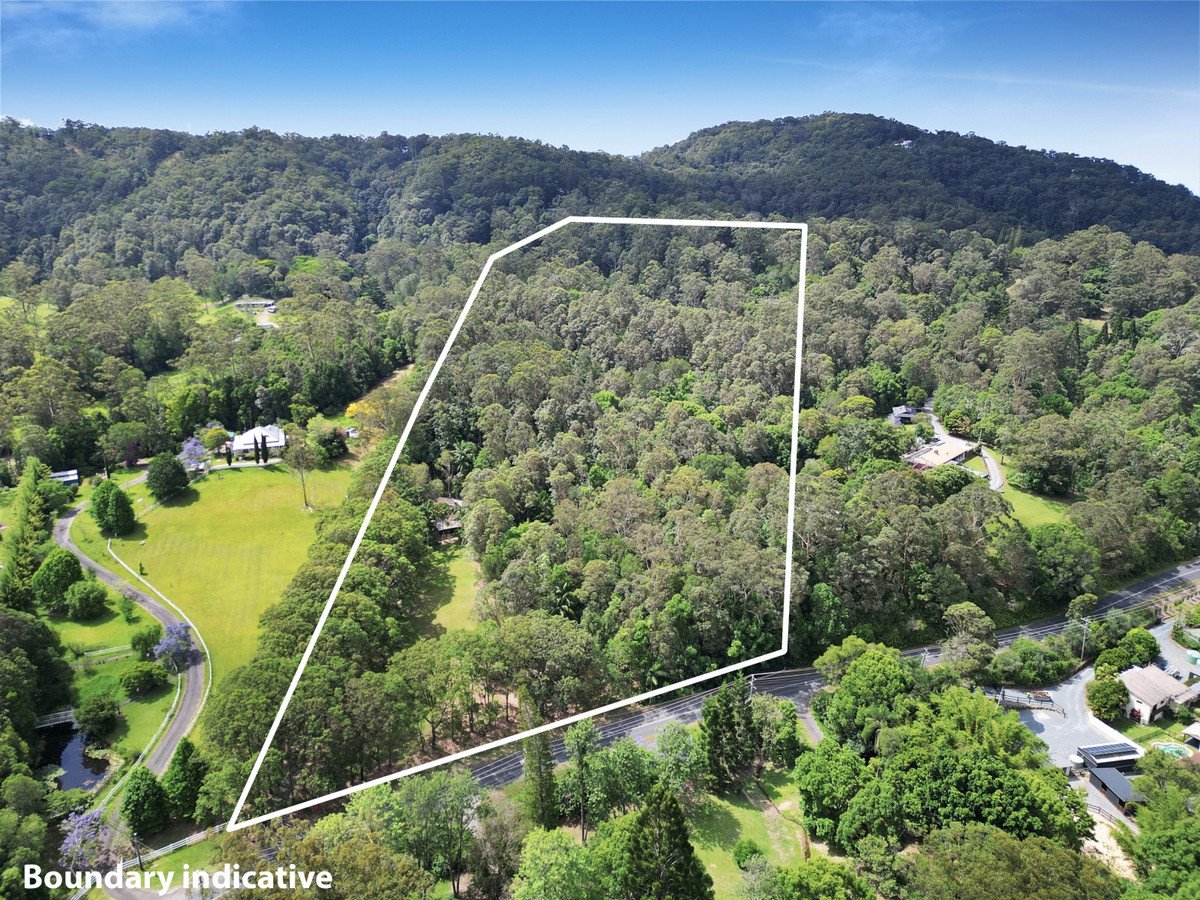 786 Tallebudgera Creek Road Tallebudgera Valley 2