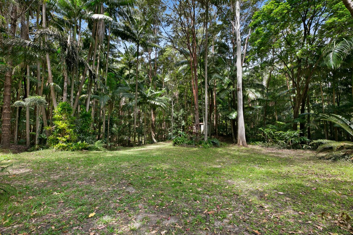 786 Tallebudgera Creek Road Tallebudgera Valley 27