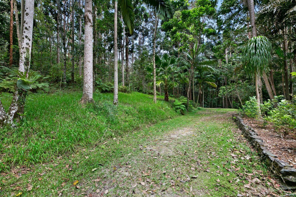 786 Tallebudgera Creek Road Tallebudgera Valley 28
