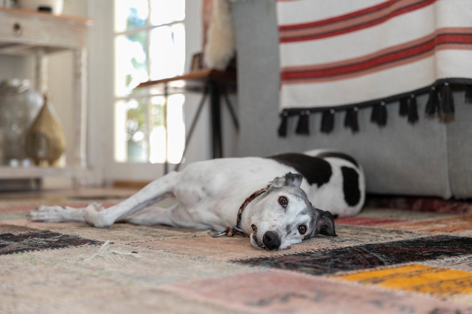 79 Blackberry Lane HADDON 24