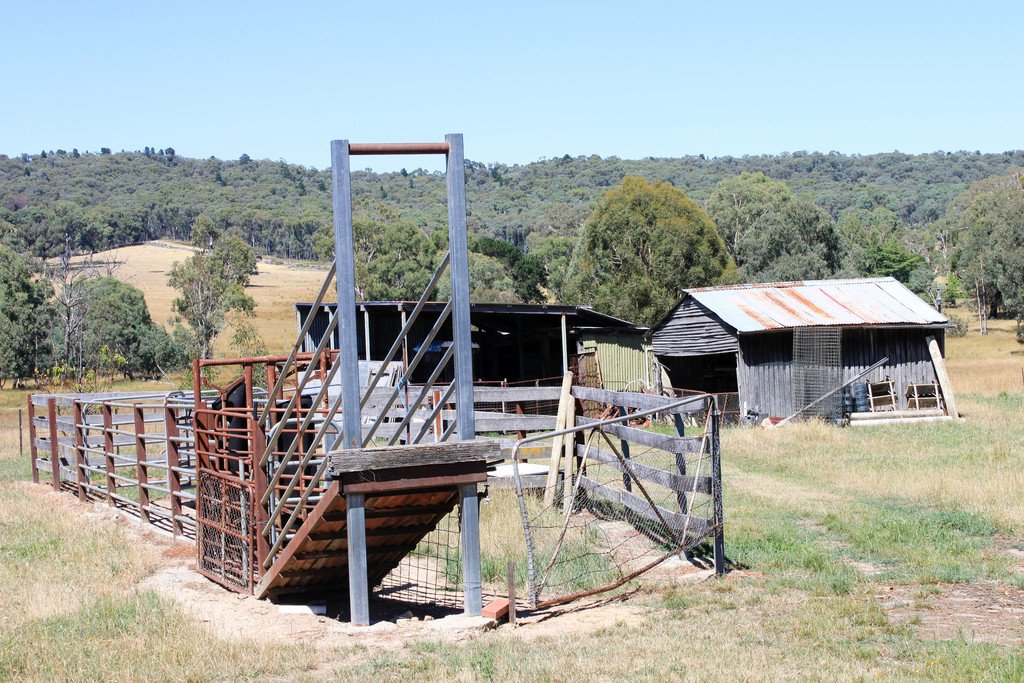 79 Camden Park Road TUMBARUMBA 10