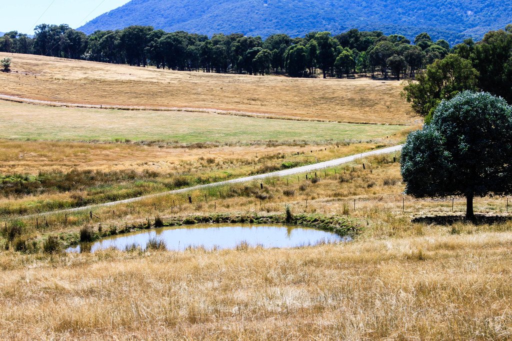 79 Camden Park Road TUMBARUMBA 11