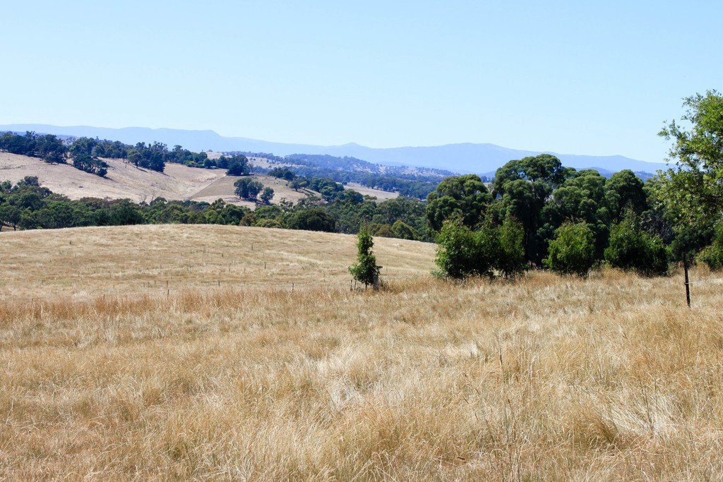 79 Camden Park Road TUMBARUMBA 12