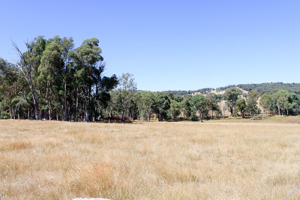 79 Camden Park Road TUMBARUMBA 13