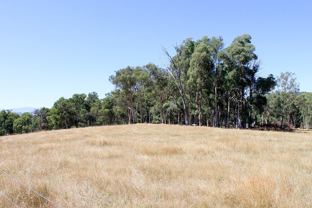 79 Camden Park Road TUMBARUMBA 14