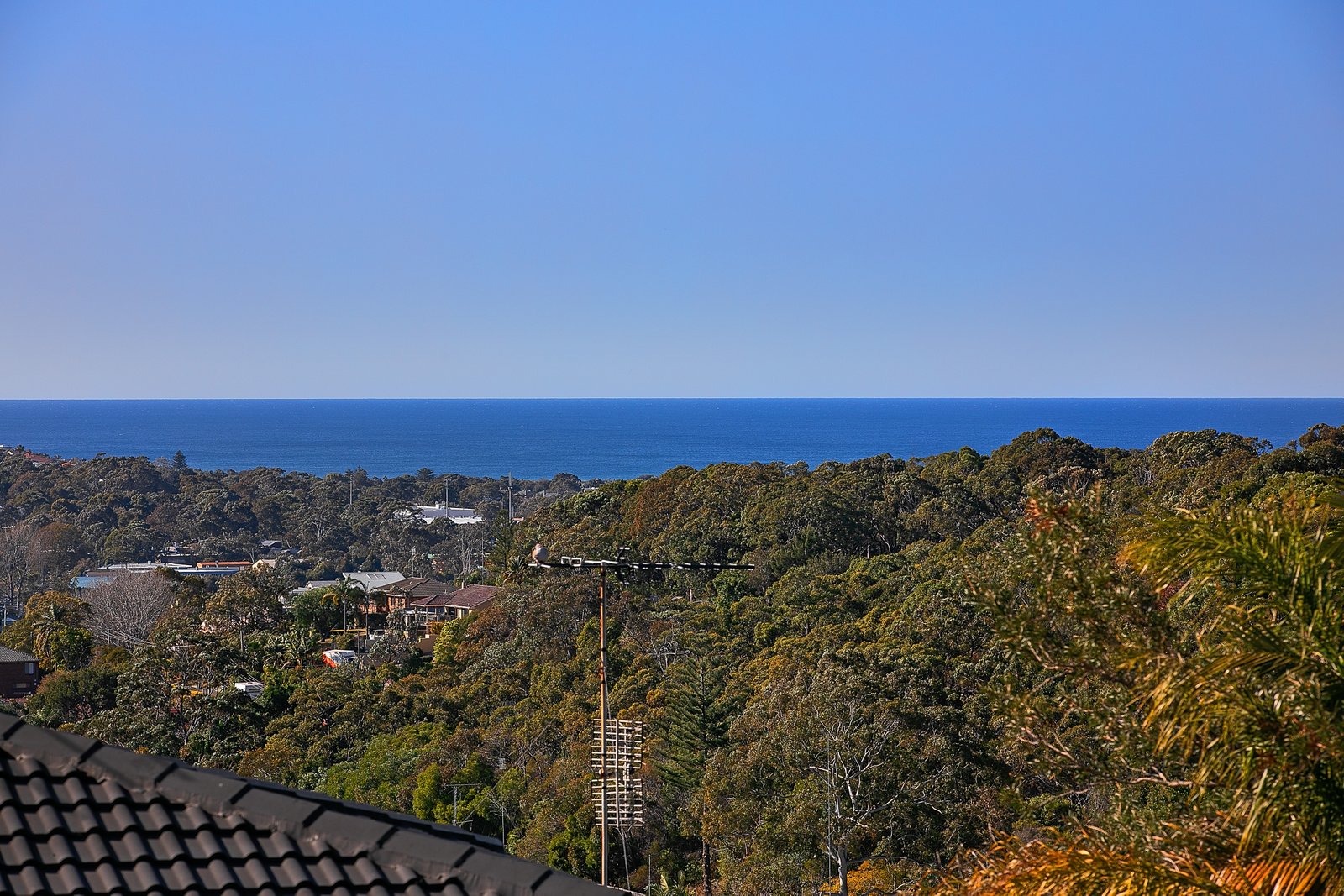 79 Cromer Road, Cromer NSW 2099