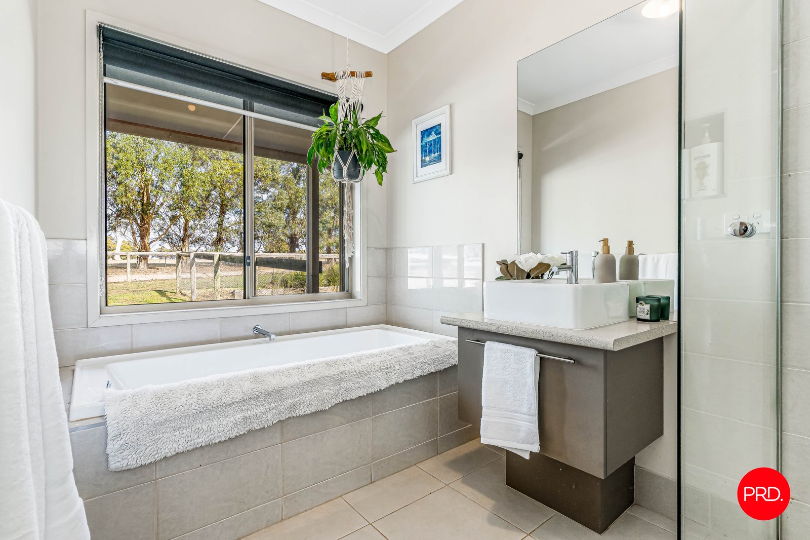 79 Ellison Road SHELBOURNE 9